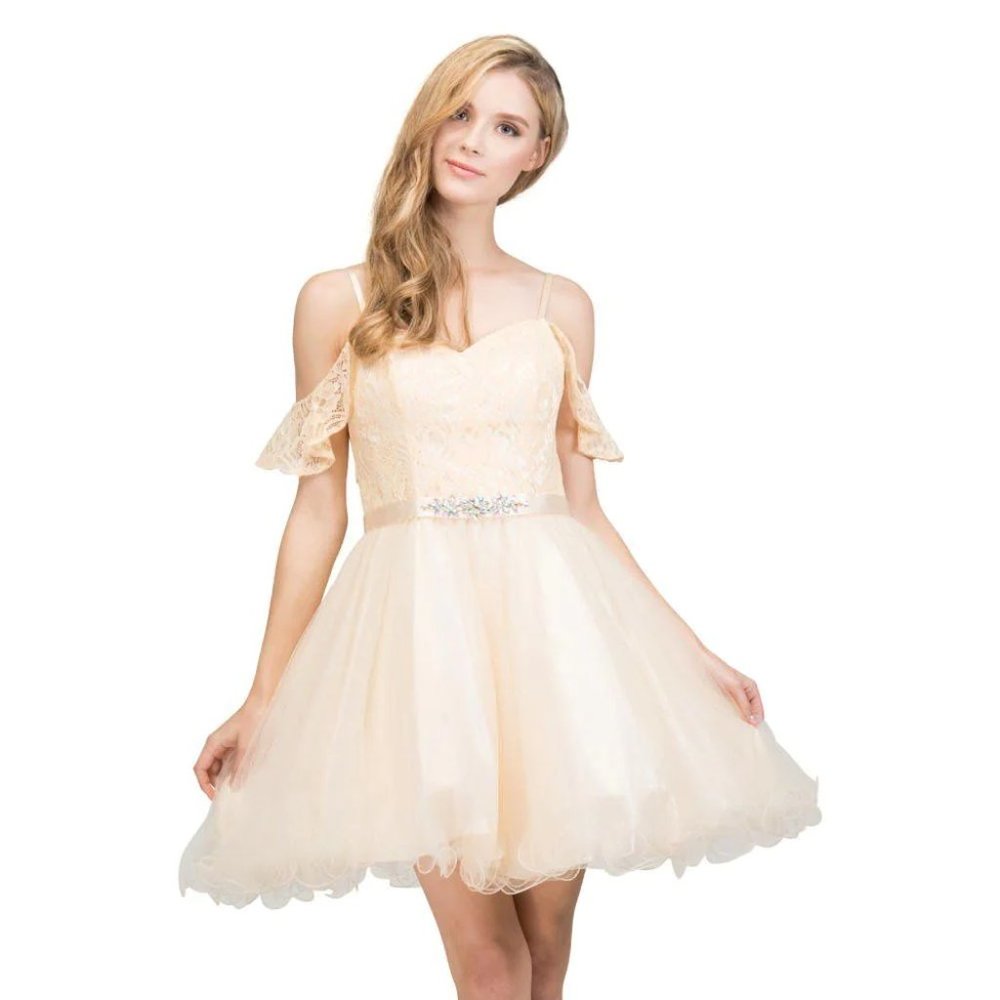 RUFFLED SHORT COLD SHOULDER DRESS WITH LACE BODICE BY STAR BOX 81019